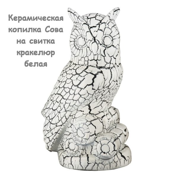 Керамическая копилка Сова на свитка кракелюр белая